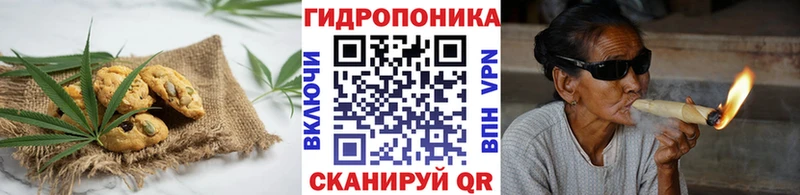 Cannafood марихуана  Купить закладки  Суровикино 