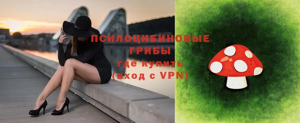 мет Алексин