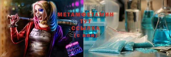 мет Алексин