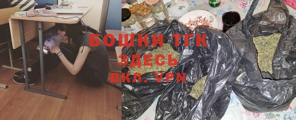 мет Алексин