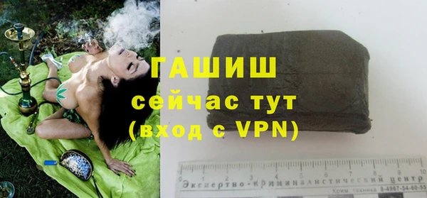стафф Алзамай