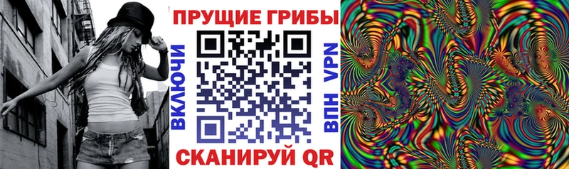 Галлюциногенные грибы мицелий  Купить где  Суровикино 